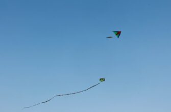 free aptos airdrop on starknet
