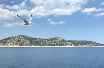 free bitcoin airdrop in turkey