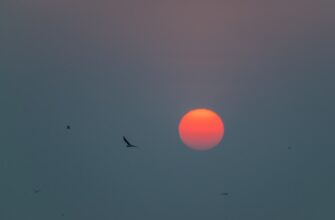 free sol airdrop in pakistan