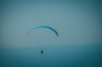 free ton airdrop on polygon