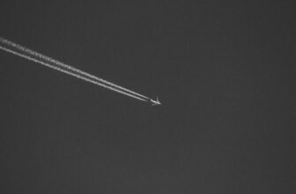 how to earn dot airdrop legit