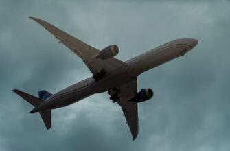 how to get avax airdrop legit