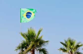 how to report airdrop income in brazil