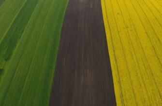 how to report defi yield in germany