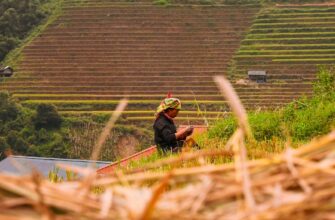 how to report defi yield in indonesia