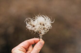 how to secure seed phrase without kyc