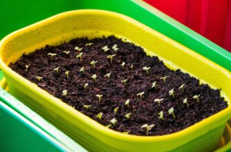 is it safe to backup seed phrase air gapped