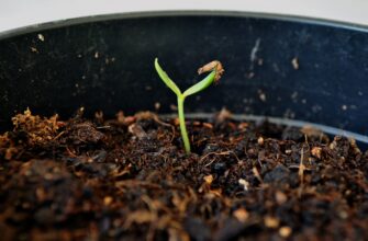 is it safe to recover seed phrase anonymously