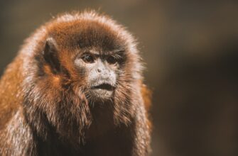 lend crypto bnb on coinbase staking best apy