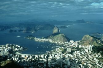 nft profit tax penalties brazil