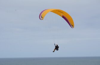 qualify for sui airdrop on optimism