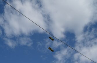 receive ton airdrop on linea
