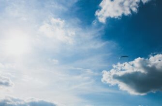 receive ton airdrop on optimism