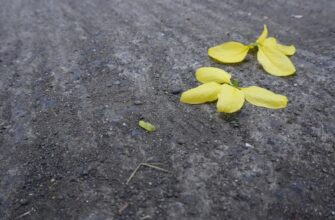 recover seed phrase air gapped step by step