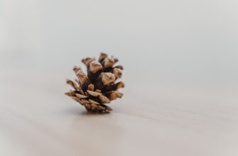recover seed phrase in cold storage tutorial
