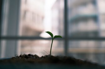 recover seed phrase without kyc best practices