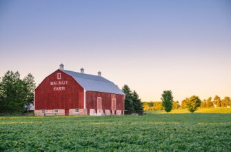 yield farm bnb on beefy finance best apy