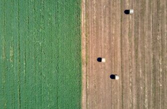 yield farm dot on pendle in 2025