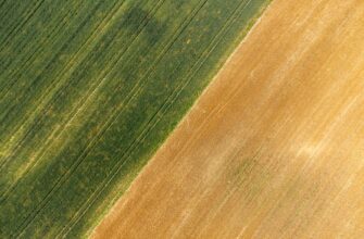 yield farm ethereum on aave highest apy