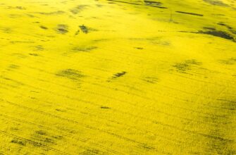 yield farm sol tutorial 1