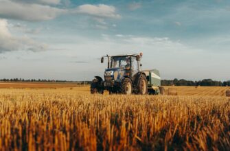 yield farm usdc on beefy finance in 2025