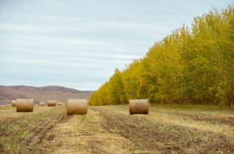 yield farm usdt on lido finance tutorial