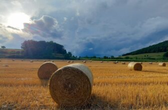 how to report defi yield in france