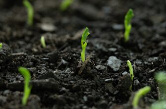 recover seed phrase offline best practices